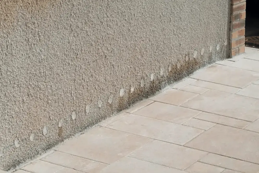 Tratamiento antihumedad mediante inyección de crema hidrofóbica DRY-JECT® - LABO AAI